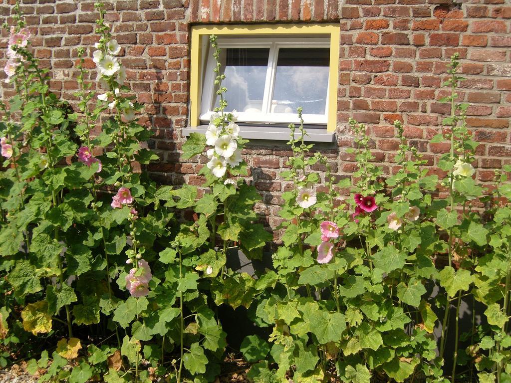 Frühstückspension Bed&Breakfast Appeltern