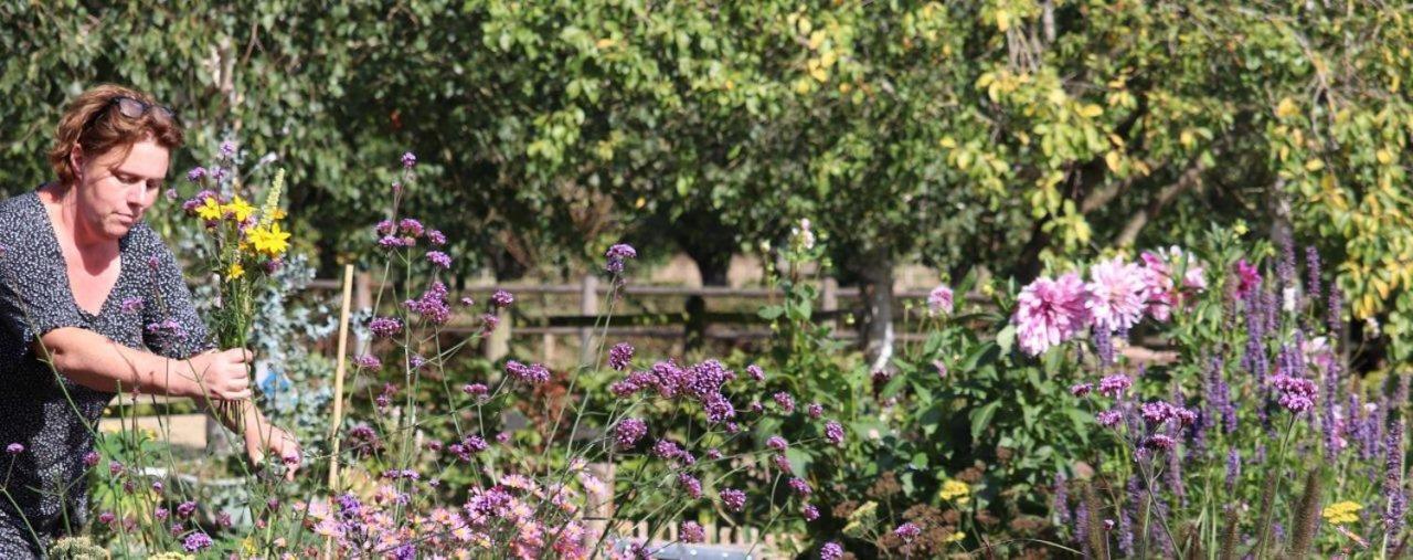 Frühstückspension Bed&Breakfast Appeltern 3*